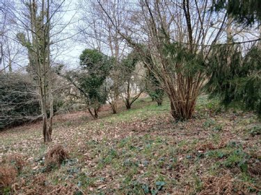 Terrain a batir a vendre La Gacilly 56200 Morbihan 1400 m2  37500 euros