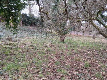 Terrain a batir a vendre La Gacilly 56200 Morbihan 1400 m2  37500 euros