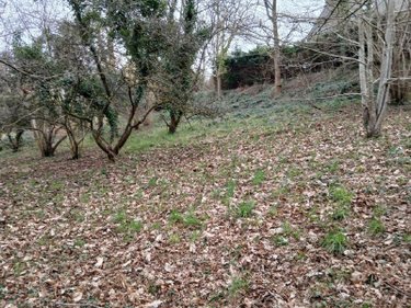 Terrain a batir a vendre La Gacilly 56200 Morbihan 1400 m2  37500 euros