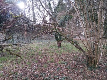 Terrain a batir a vendre La Gacilly 56200 Morbihan 1400 m2  37500 euros