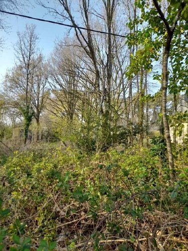Terrain a batir a vendre La Gacilly 56200 Morbihan 1182 m2  44370 euros
