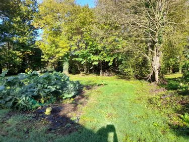 Terrain a batir a vendre Les Brulais 35330 Ille-et-Vilaine 1385 m2  36500 euros