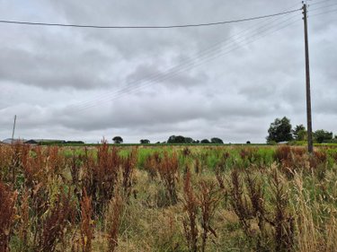 Bien agricole a vendre Guiclan 29410 Finistère  27500 euros