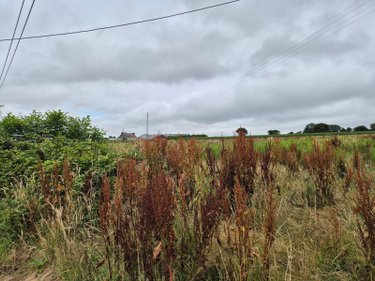 Bien agricole a vendre Guiclan 29410 Finistère  27500 euros