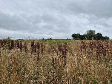 Bien agricole a vendre Guiclan 29410 Finistère  27500 euros