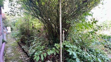 Maison a vendre Esquelbecq 59470 Nord 95 m2 4 pièces 189000 euros