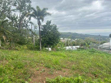Terrain a batir a vendre La-Montagne 97417 Réunion 350 m2  118000 euros