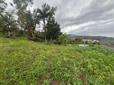 Terrain a batir a vendre La-Montagne 97417 Réunion 350 m2  118000 euros