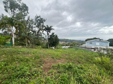 Terrain a batir a vendre La-Montagne 97417 Réunion 350 m2  118000 euros