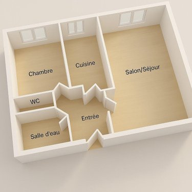 Appartement a vendre Le Mans 72000 Sarthe 49 m2 2 pièces 58300 euros