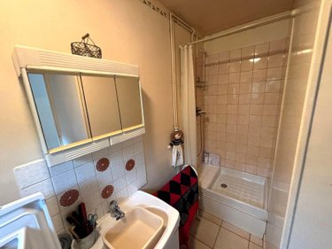 Maison a vendre Souppes-sur-Loing 77460 Seine-et-Marne 48 m2 3 pièces 80000 euros