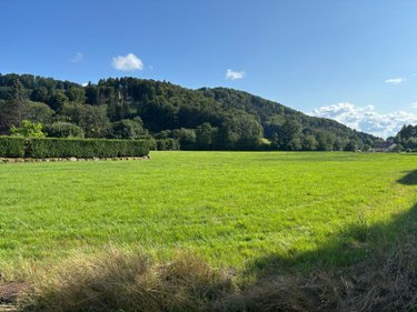 Terrain a batir a vendre Le Val-d'Ajol 88340 Vosges 7740 m2  43000 euros