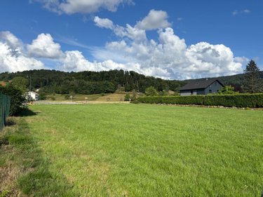 Terrain a batir a vendre Le Val-d'Ajol 88340 Vosges 7740 m2  43000 euros