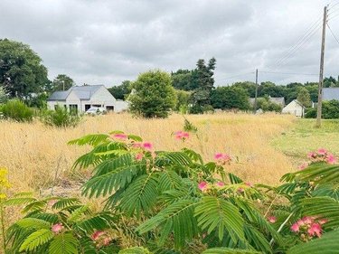 Terrain a batir a vendre Moëlan-sur-Mer 29350 Finistère 686 m2  146255 euros