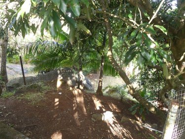 Maison a vendre La-Montagne 97417 Réunion 78 m2 4 pièces 210900 euros