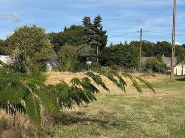 Terrain a batir a vendre Moëlan-sur-Mer 29350 Finistère 716 m2  152651 euros