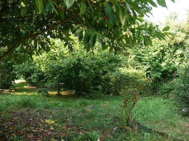 Maison a vendre Le Hinglé 22100 Côtes-d'Armor 77 m2 4 pièces 136660 euros