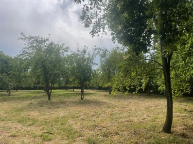 Maison a vendre Sains-du-Nord 59177 Nord 210 m2 8 pièces 230000 euros