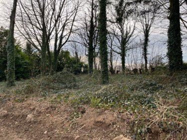 Maison a vendre Vengeons 50150 Manche 164 m2 8 pièces 194397 euros