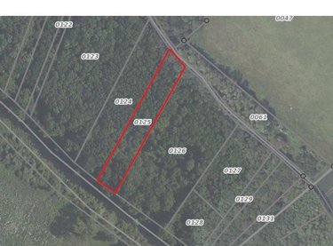 Terrains de loisirs bois etangs a vendre Villiers-Saint-Orien 28800 Eure-et-Loir 2861 m2  7000 euros