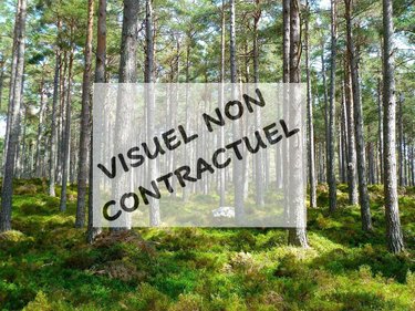 Terrains de loisirs bois etangs a vendre Villiers-Saint-Orien 28800 Eure-et-Loir 2861 m2  7000 euros