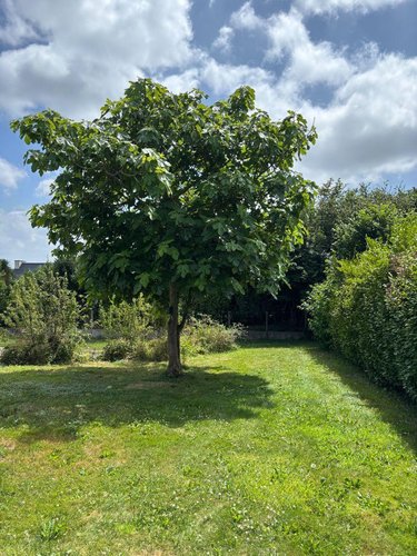 Maison a vendre Briec 29510 Finistère 5 pièces 230600 euros