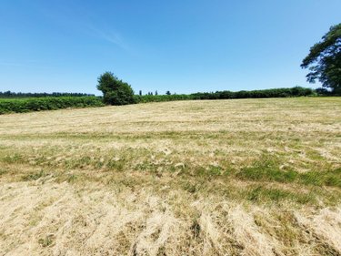 Terrain a batir a vendre Aix 19200 Corrèze 3160 m2  33000 euros