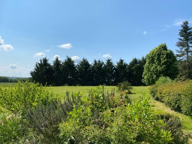 Maison a vendre Palluau-sur-Indre 36500 Indre 190 m2 6 pièces 213000 euros