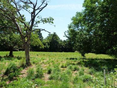 Maison a vendre Nouziers 23350 Creuse 44 m2 2 pièces 48000 euros