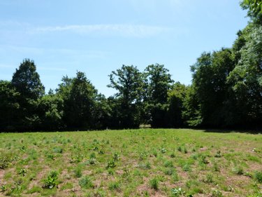 Maison a vendre Nouziers 23350 Creuse 44 m2 2 pièces 48000 euros