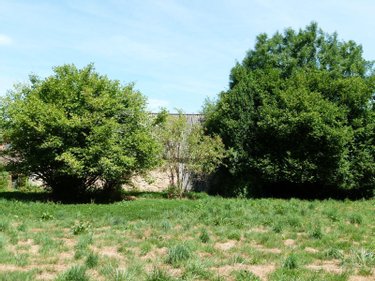 Maison a vendre Nouziers 23350 Creuse 44 m2 2 pièces 48000 euros