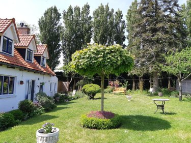 Maison a vendre Wemaers-Cappel 59670 Nord 130 m2  322300 euros