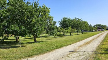 Terrain a batir a vendre Sainte-Livière 52290 Marne 2466 m2  58000 euros