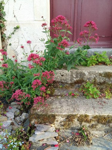 Maison a vendre La Gacilly 56200 Morbihan 56 m2 3 pièces 188640 euros