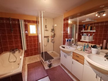 Viager maison Noyant-Villages 49490 Maine-et-Loire 183 m2 11 pièces 100000 euros