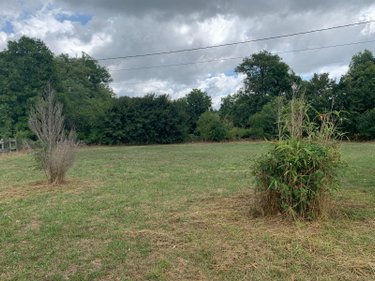 Maison a vendre Laramière 46260 Lot 65 m2 3 pièces 118185 euros