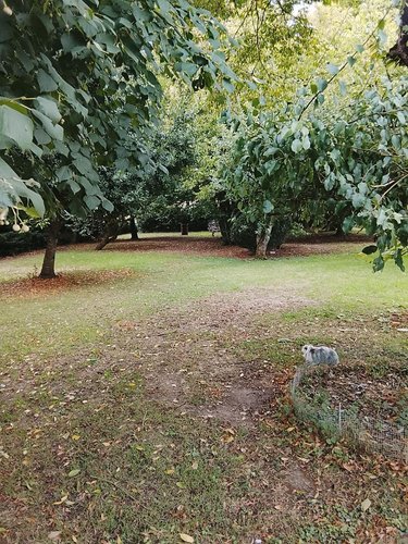 Maison a vendre La Chapelle-d'Aligné 72300 Sarthe 115 m2 4 pièces 188640 euros