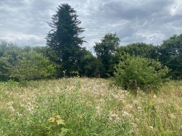 Maison a vendre Coray 29370 Finistère 94 m2 4 pièces 164300 euros