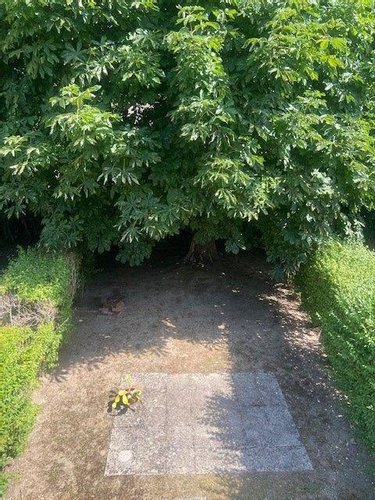 Location appartement L'Isle-Adam 95290 Val-d'Oise 20 m2 1 pièce 538 euros