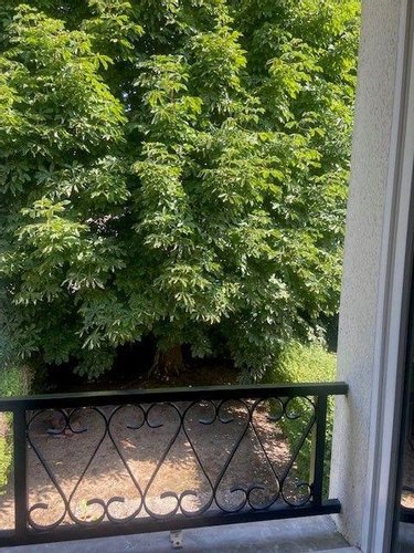 Location appartement L'Isle-Adam 95290 Val-d'Oise 20 m2 1 pièce 538 euros