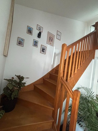 Location appartement Mordelles 35310 Ille-et-Vilaine 50 m2 2 pièces 730 euros