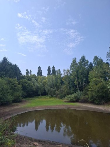 Terrains de loisirs bois etangs a vendre Malicorne 03600 Allier 12069 m2  45580 euros