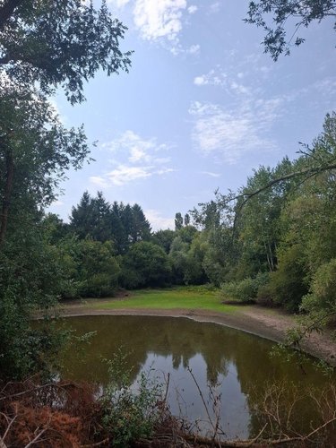 Terrains de loisirs bois etangs a vendre Malicorne 03600 Allier 12069 m2  45580 euros