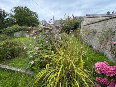 Maison a vendre Criel-sur-Mer 76910 Seine-Maritime 53 m2 2 pièces 85600 euros