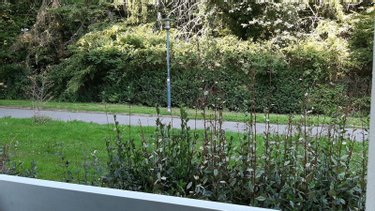 Appartement a vendre Rennes 35000 Ille-et-Vilaine 20 m2 1 pièce 111300 euros