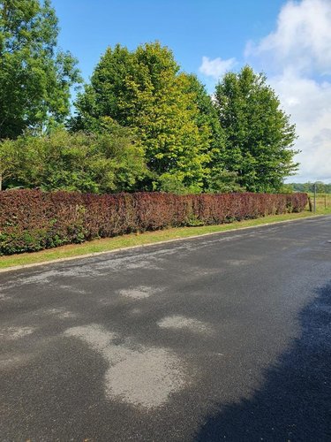 Terrain a batir a vendre Hannogne-Saint-Martin 08160 Ardennes 1814 m2  75000 euros