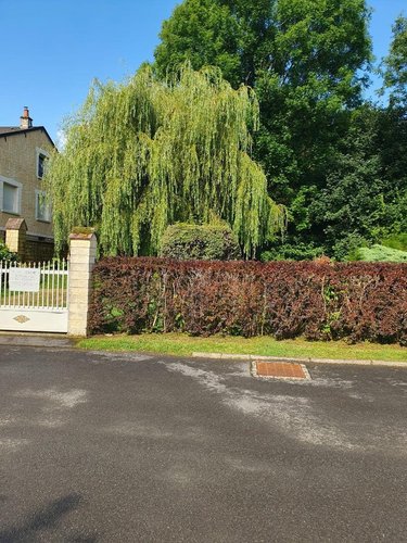 Terrain a batir a vendre Hannogne-Saint-Martin 08160 Ardennes 1814 m2  75000 euros