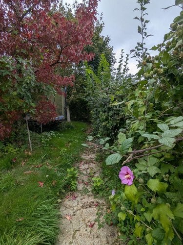 Maison a vendre Les Étilleux 28330 Eure-et-Loir 94 m2 4 pièces 84800 euros