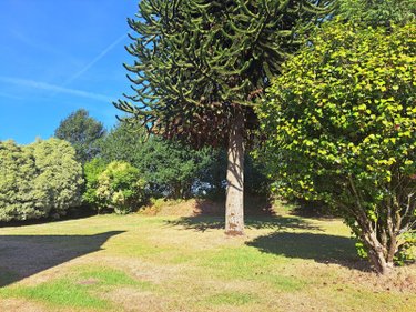 Maison a vendre Mellac 29300 Finistère 152 m2 5 pièces 264945 euros