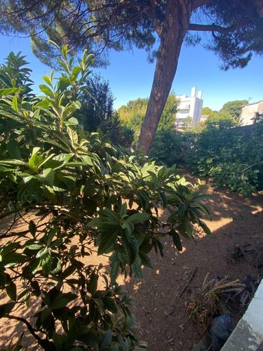 Appartement a vendre Bordeaux 33000 Gironde 66 m2 3 pièces 252000 euros